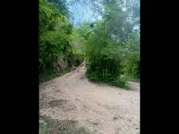 Vista 6