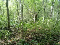 Vista 7