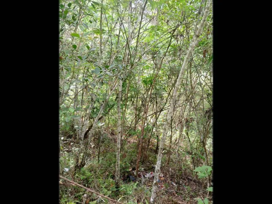 Terreno en venta res o agrícola Sabaneta en el Hatillo Caracas - 9