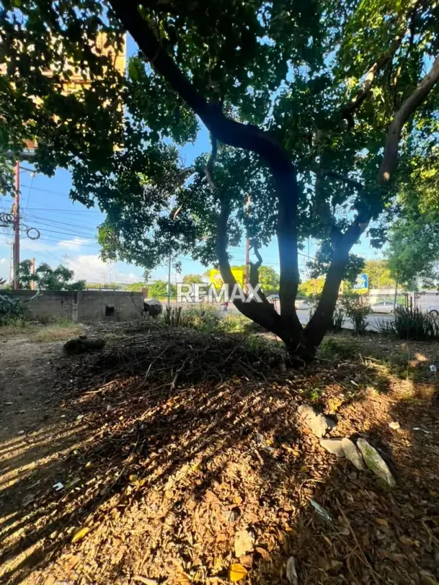 EN VENTA TERRENO UBICADO EN LA AVENIDA LA SALLE CON AVENIDA LAS INDUSTRIAS, BARQUISIMETO - 2