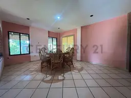 Vista 6