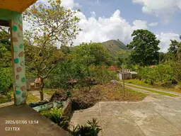 Vista 25