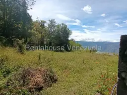 View 10
