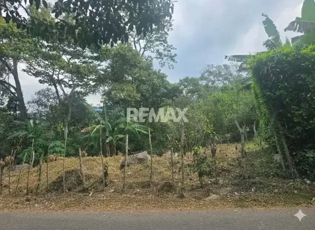TERRENO CON POTENCIAL . Páramo del junco