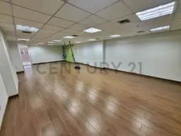 Vista 4