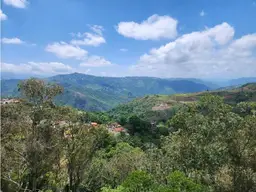Vista 19