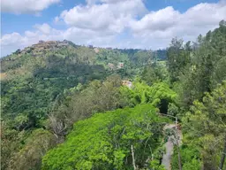 Vista 21