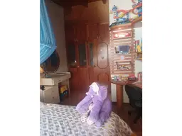 View 32