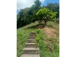 View 45