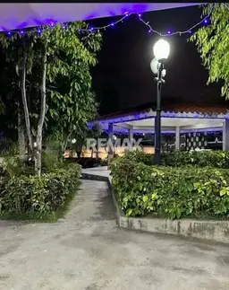 View 5