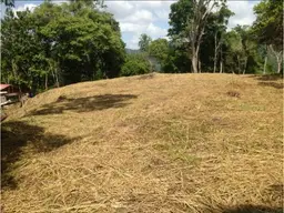 Vista 1