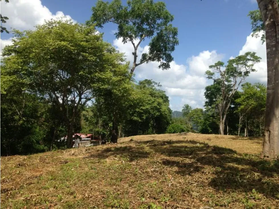 Se vende terreno 55343m² Sabaneta - 2