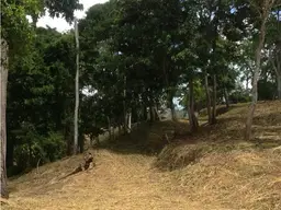Vista 11
