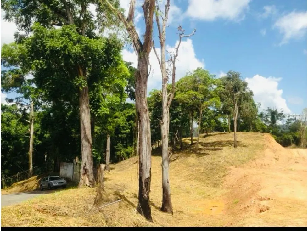 Se vende terreno 55343m² Sabaneta - 12