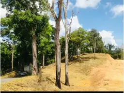 Vista 12