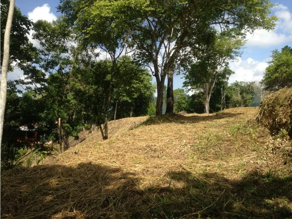 Se vende terreno 55343m² Sabaneta - 13