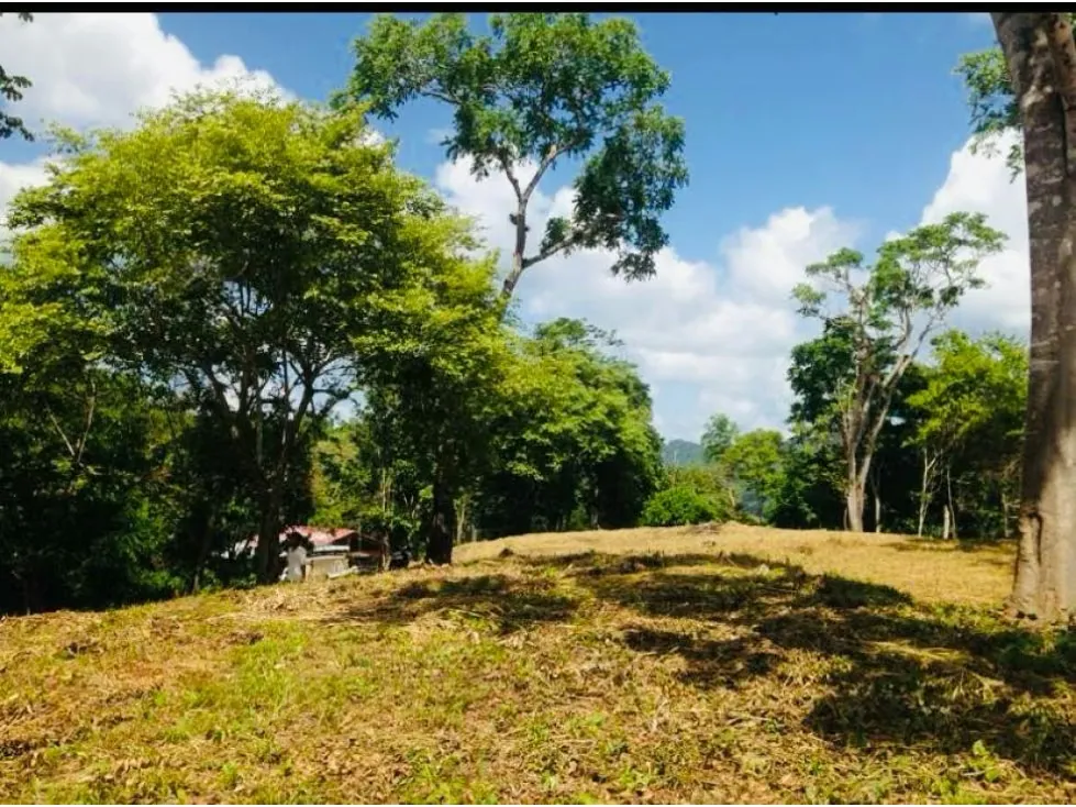 Se vende terreno 55343m² Sabaneta - 14