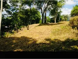 Vista 3