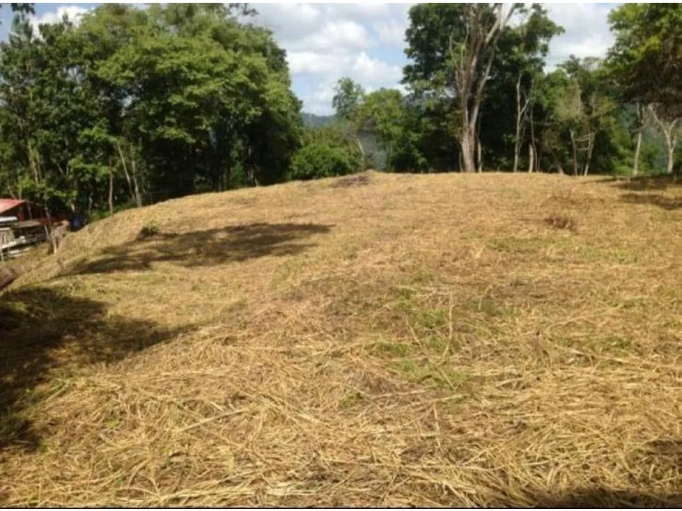 Se vende terreno 55343m² Sabaneta - 4