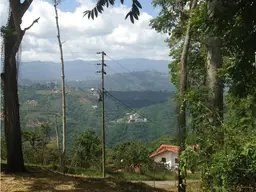 Vista 5
