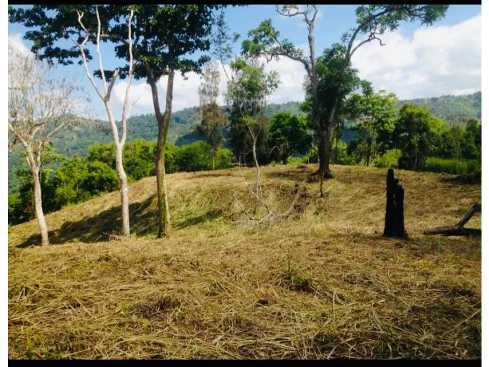 Se vende terreno 55343m² Sabaneta - 6