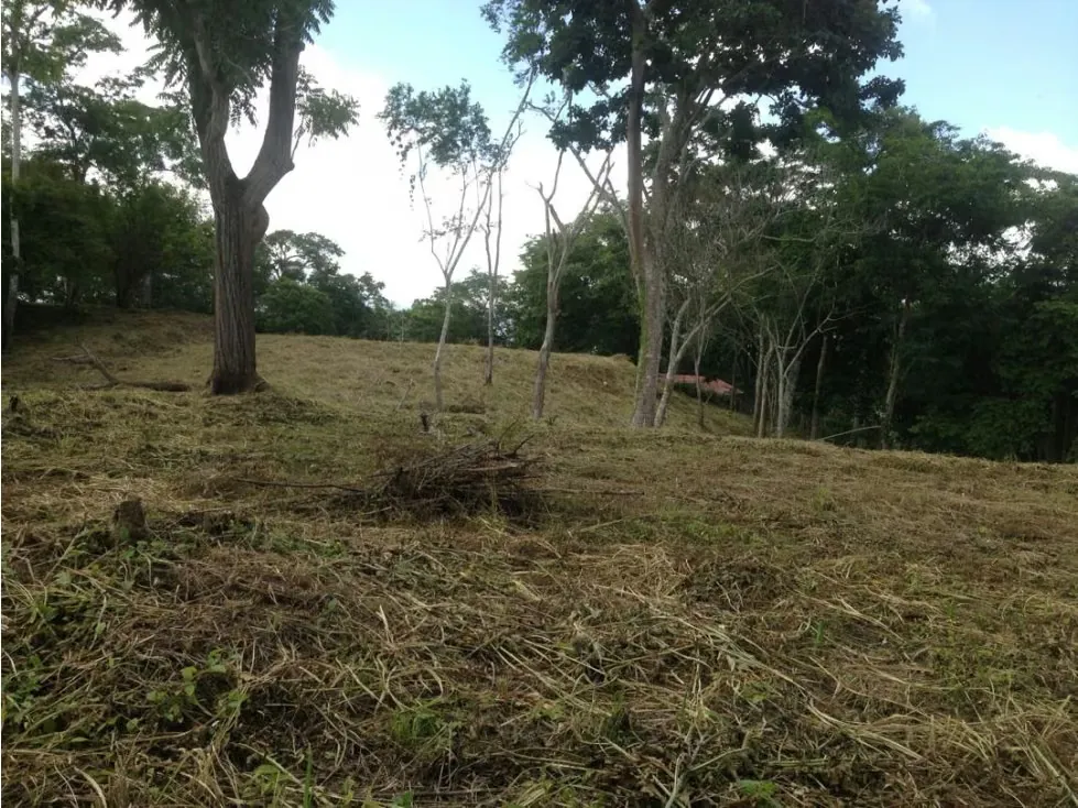 Se vende terreno 55343m² Sabaneta - 9