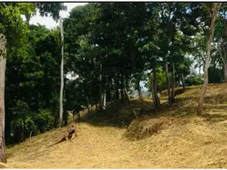 Vista 10