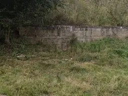 Vista 1
