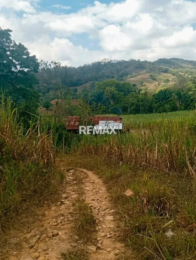 Finca en venta - 3