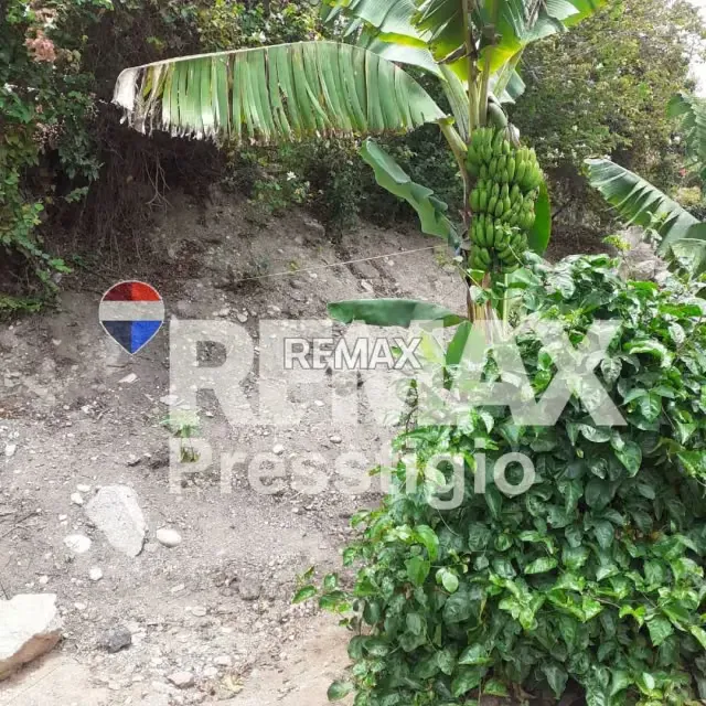 Terreno en Venta en San Juan de Lagunillas - 3
