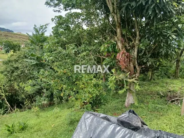 Terreno en venta - 2