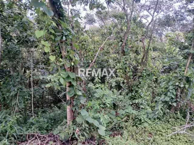Terreno en venta - 4