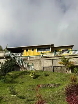 View 14