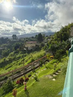 View 15