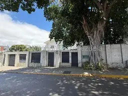 Vista 1
