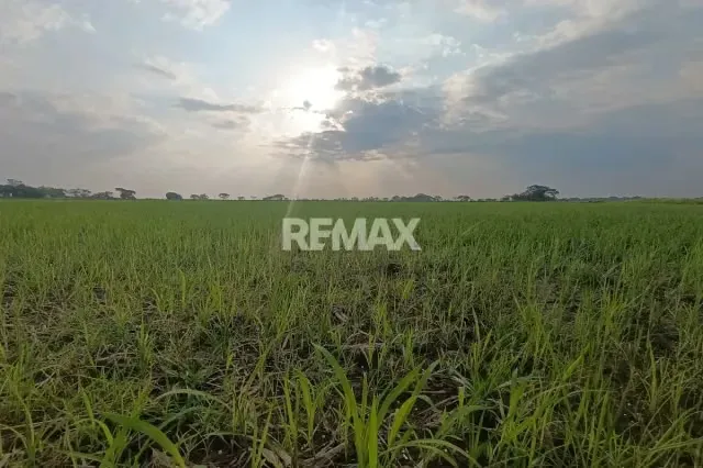 Quieres una Finca Propia a 20 Minutos de la Ciudad, Te La tengo.