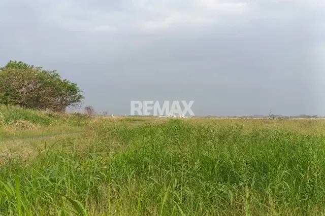 Quieres una Finca Propia a 20 Minutos de la Ciudad, Te La tengo. - 12