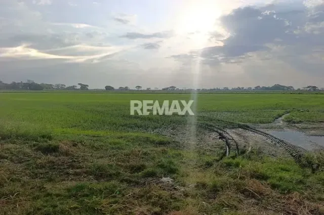 Quieres una Finca Propia a 20 Minutos de la Ciudad, Te La tengo. - 13