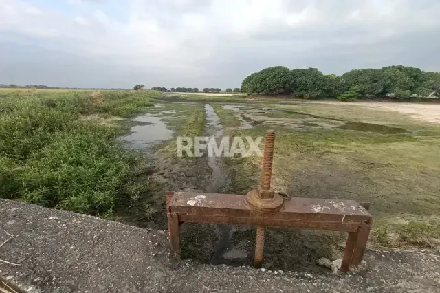 Quieres una Finca Propia a 20 Minutos de la Ciudad, Te La tengo. - 14