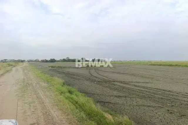 Quieres una Finca Propia a 20 Minutos de la Ciudad, Te La tengo. - 10