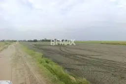 Vista 10