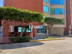 Vista 14