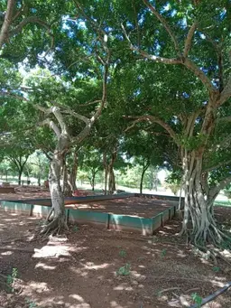 View 11