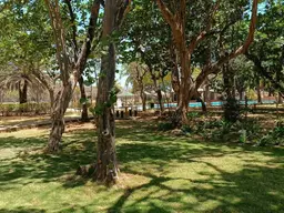 View 15