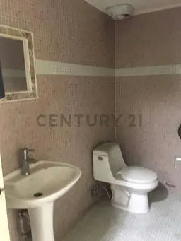 Vista 11