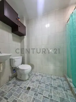 Vista 11