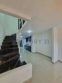 Vista 2