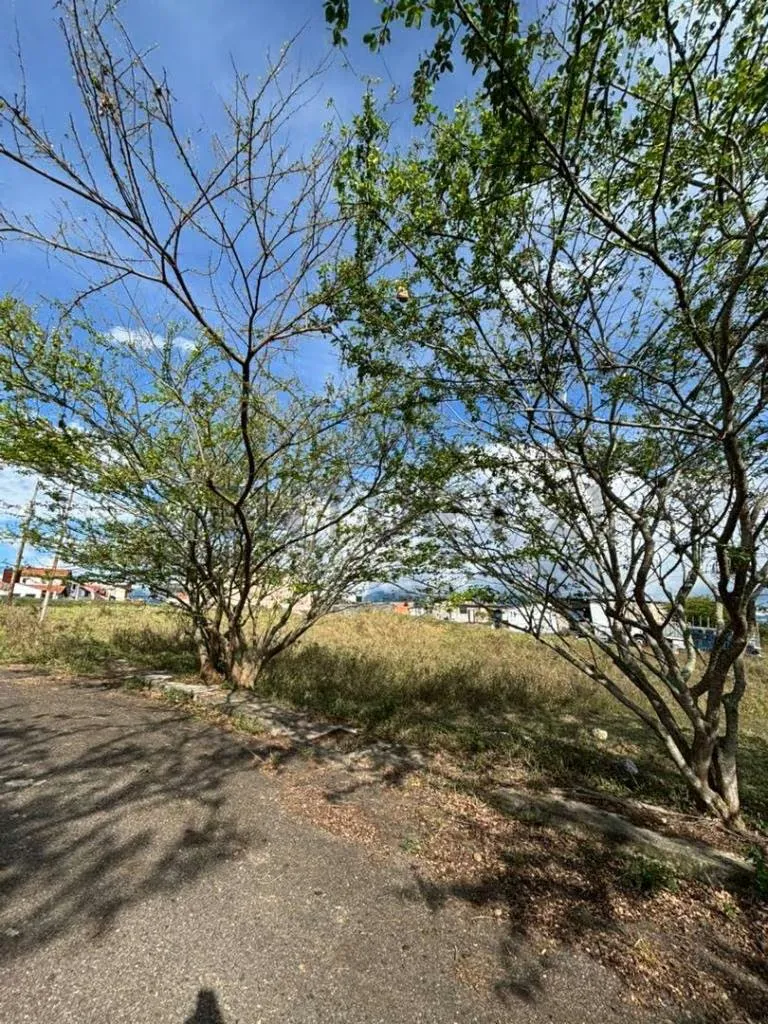 Terreno en Venta en Desarrollo Habitacional - 2