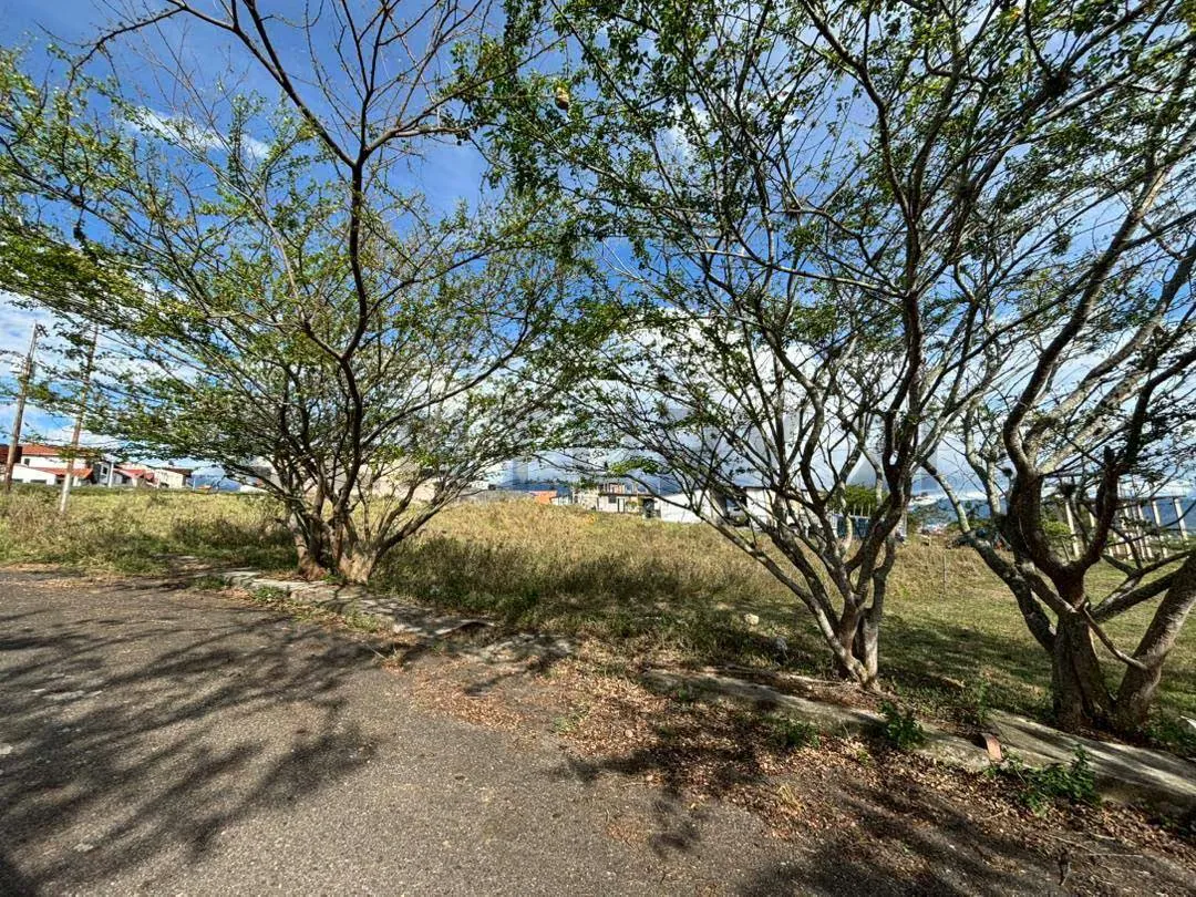 Terreno en Venta en Desarrollo Habitacional - 3