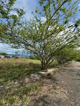 Vista 4